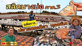 สลิดบางบ่อ​ (ปลาแดดเดียว-ทุกชนิด) ราคาส่ง-ถูกกว่า มีให้เลือกเยอะมาก ตากใหม่-สดทุกวัน รับไปขายต่อกำไร