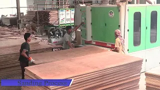 Welcome to MBK Plywood Factory.