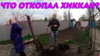 ЧТО ОТКОПАЛ ХИККАН №1?