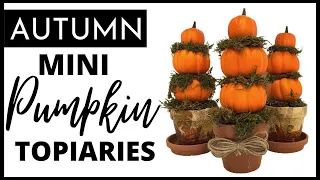 Mini Pumpkin Topiaries - Thanksgiving DIY - Table Top Decor - Dollar Store DIY #thanksgivingdecor