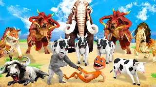 10 Giant Tiger vs 10 Cow Cartoon vs 10 Buffalo Fight Cow Saved By Monster Lion vs Mammoth Elephant