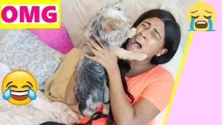 Funny Dog Reaction to me Crying PRANK (CUTE REACTION )