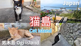 [Japan Travel | Ogijima, Kagawa] Art and Cat Island, 3 Recommended Cafes