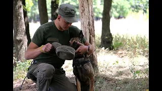 Службові собаки Нацгвардії доводили свій талант нюхачів