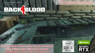 Back 4 Blood Open Beta | All Weapons Showcase (Gun Sounds, Reloads Animations)