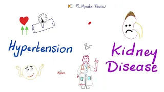 Hypertension & Kidney Disease | Renovascular Hypertension vs Hypertensive Nephropathy