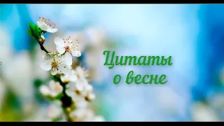 Цитаты о весне