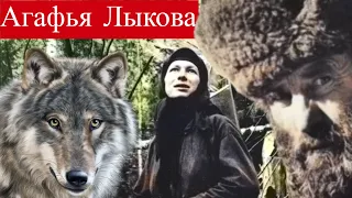 The wolf came to Agafya Lykova. Hermit's unsuccessful marriage to a relative in 1989