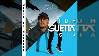 David Guetta ft. Sia vs Brooks - Titanium vs Lynx (David Guetta Mashup) [Extended Mix]