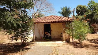 UMA VISITA AO SITIO  VIDA NO CAMPO