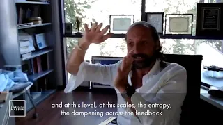 Nassim Haramein on the Emergent Properties Of Complexity - Resonance Academy Virtual Classroom