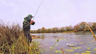 Вот ПОЧЕМУ СРЫВАЛАСЬ ЩУКА с крючков! Ловля щуки на Спиннинг. Сварил Уху в карманном котелке :)