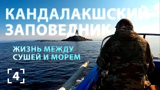 Литораль Белого моря. Островные и материковые территории Кандалакшского заповедника