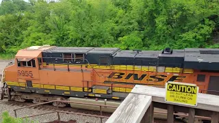 [La Plata Rail Days 2022] Eastbound S-train (maritime stack containers) goes into emergency braking