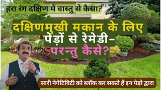 हरा रंग दक्षिण में वास्तु से कैसा? दक्षिणमुखी मकान के लिए पेड़ों से Vastu for Plants, Vastu for Trees