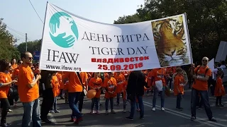 День тигра во Владивостоке 25/09/2016 #IFAW