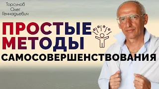 Простые методы самосовершенствования. Торсунов О. Г.