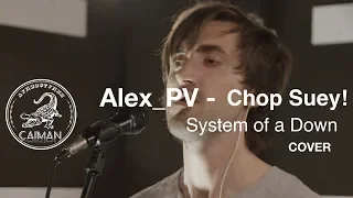 System Of A Down - Chop Suey! (Cover by Alex_PV)