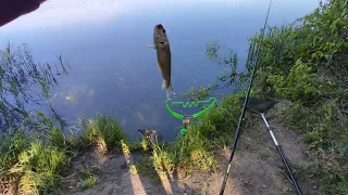 Рибалка на карася.С пикерором на классическую фидерную оснастку.🎣