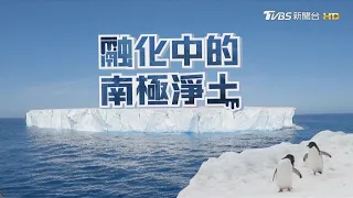 全球升溫最快!南極危機衝擊生態｜TVBS新聞【融化中的南極淨土】