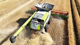 Claas Lexion 8900 in the field harvesting | Drone Footage (4K)