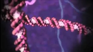 Mind-blowing Animations of Molecular Machines inside Your Body!