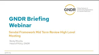 GNDR Briefing Webinar: Sendai Framework Mid Term Review High Level Meeting