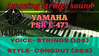 yamaha psr e473|| amazing strings voice demo