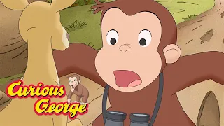 George Meets a Kangaroo for the First Time 🐵 Curious George 🐵 Kids Cartoon