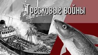 Тресковые войны.🐟 Наглость - второе счастье.