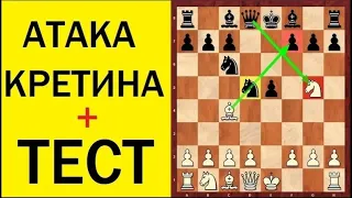 Шахматы. Защита ДВУХ КОНЕЙ. АТАКА КРЕТИНА. Школа шахмат d4-d5