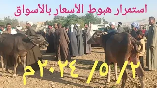 اسعار الجاموس والشبيب والشعاري الجاموسي بسوق الخميس اليوم ٢/ ٥/ ٢٠٢٤م