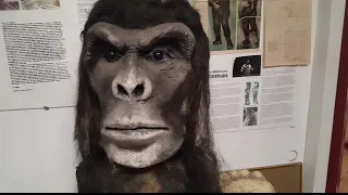 Bigfoot Discovery Museum in Felton California Feb 28 2020
