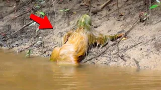 Жуткое Существо Выползло Из Воды,  Его Засняли На Камеру |Мистические Новости #22