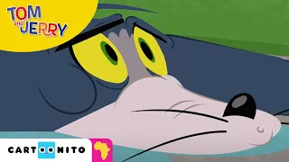 Tom and Jerry: No Luck | Cartoonito Africa