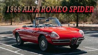 Sun, Speed, and Italian Passion: The 1966 Alfa Romeo Spider