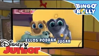 Bingo y Rolly: La casa de Bingo y Rolly en 360º | Disney Junior Oficial