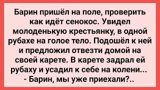 Барин в Карете Усадил Крестьянку Себе на Колени! Сборник Свежих Смешных Жизненных Анекдотов!