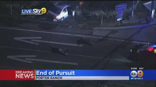 LAPD Pursuit Of Suspected Stolen Vehicle Ends In Crash, 2 In Custody