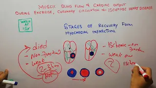 CVS physiology 208 | Stages of recovery from myocardial infarction