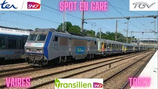 TGV, RER, TER et TRANSILIEN en gare de Vaires-Torcy