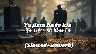 Ya Rohoo Ka Libas ha | Slowed+Rewerb | Fana kia mujha | FB-Lofi-Collection