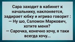 Задрала Юбку Перед Начальником и Соблазнила! Сборник Свежих Анекдотов! Юмор!