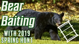 Bear Baiting - Spring bear hunt