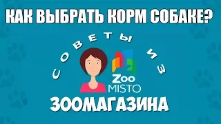 Как правильно выбрать корм для собак | Какие бывают корма | Виды корма | Советы из зоомагазина