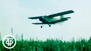 Воздушные хлеборобы. О работе пилотов сельскохозяйственной авиации (1984)