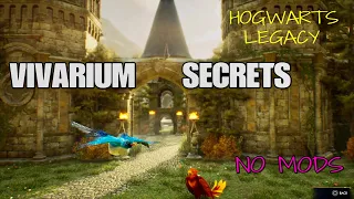 Vivarium SECRETS | Complete vivarium customisation | Hogwarts Legacy