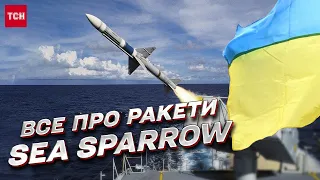 Вищий пілотаж! Все про ракети Sea Sparrow, які дадуть Україні | Олег Катков