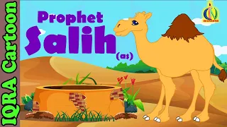 Prophet Stories SALIH (AS) | Islamic Cartoon | Quran Stories | Islamic Children Kids Videos - Ep 05