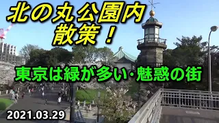 北の丸公園散策・先人皇族の銅像が目立たない場所に建立とは(唖)！2021.03.29